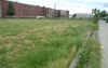 Davis Linden Lot - Industrial Parking Lot