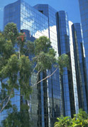 Commercial Real Estate